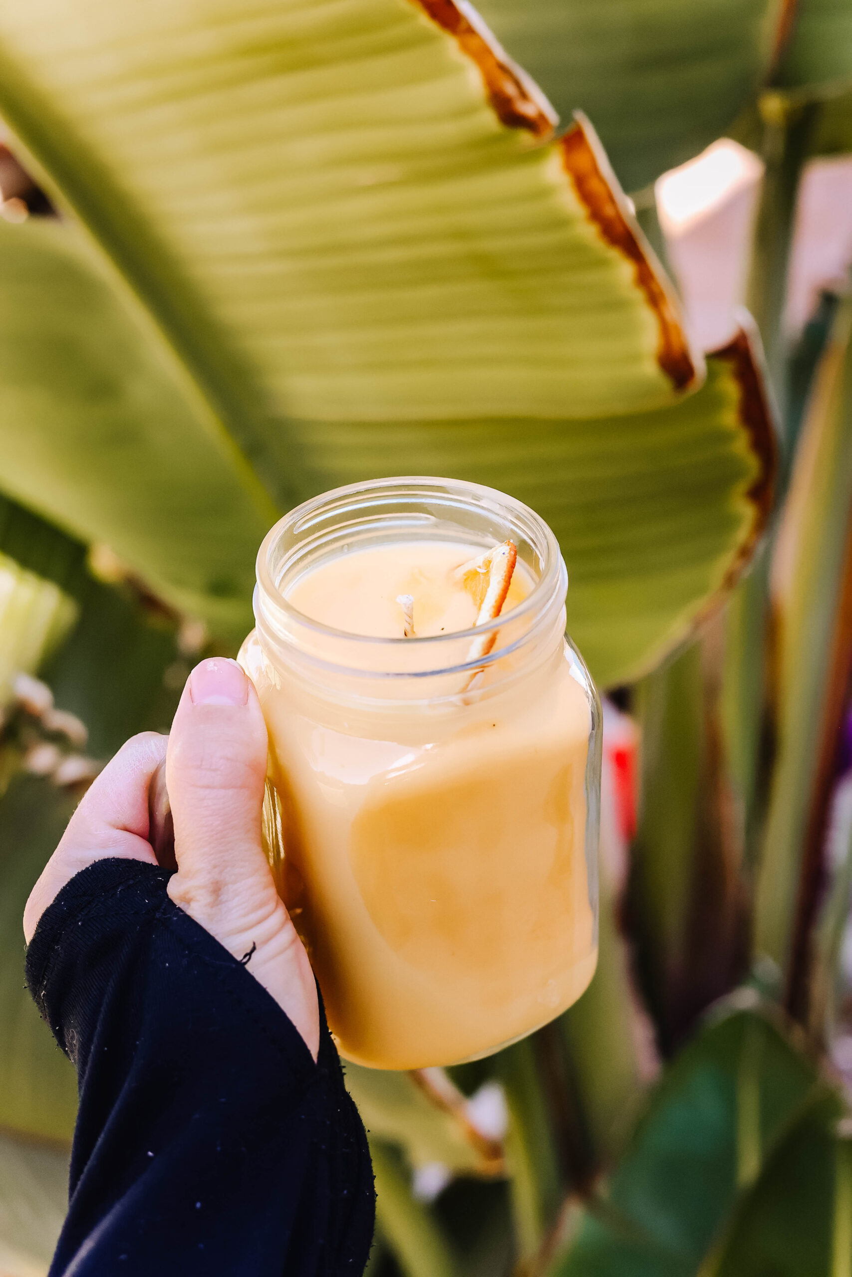 California Oranges Candle