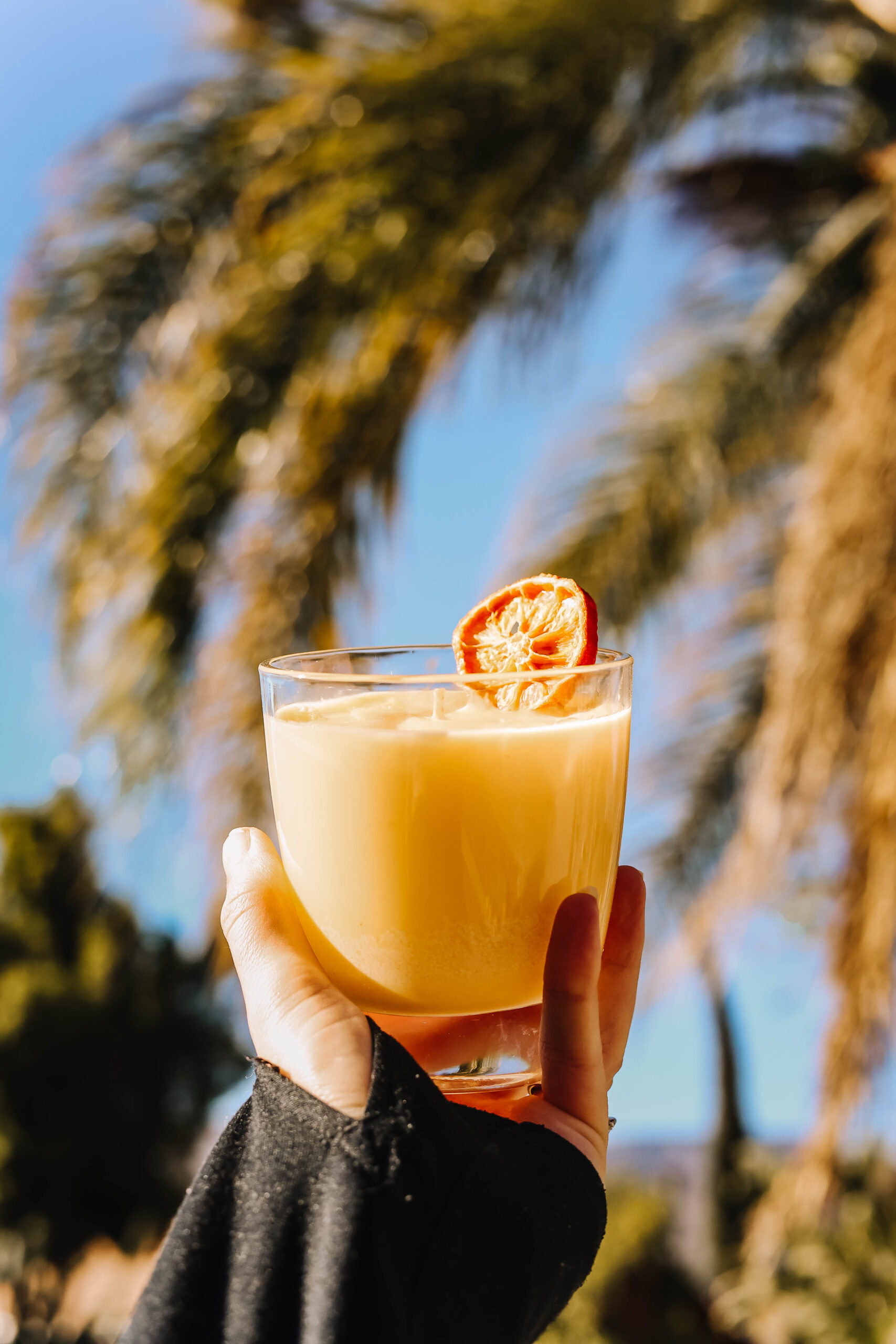 California Oranges Hand-Poured Candle | Orange Juice Scented Candle with Dehydrated Orange