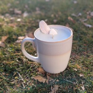 Malibu Candle | One-of-a-Kind with Real Shells from Malibu | Orchid Sea Salt + California Oranges Scent