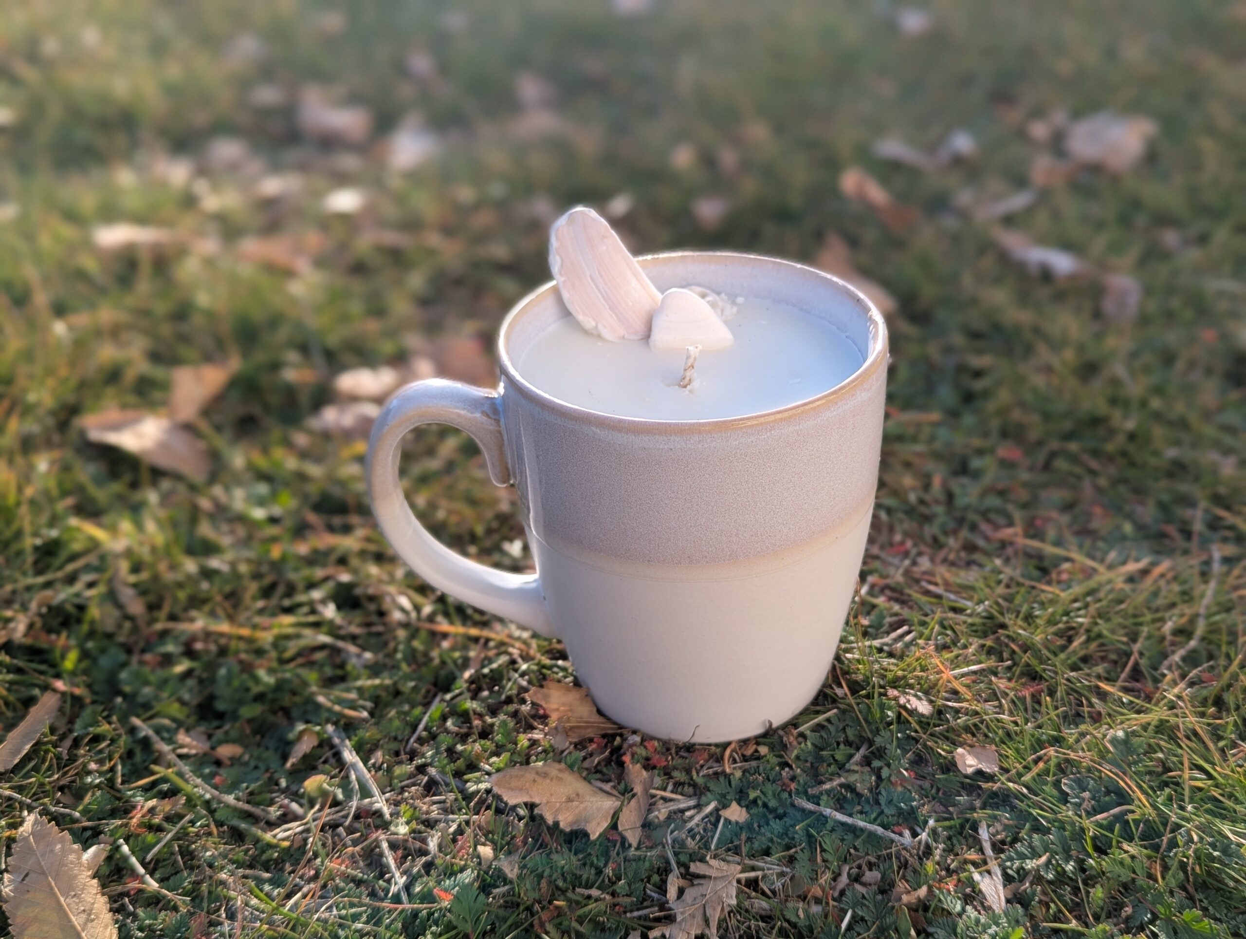 Malibu Candle | One-of-a-Kind with Real Shells from Malibu | Orchid Sea Salt + California Oranges Scent